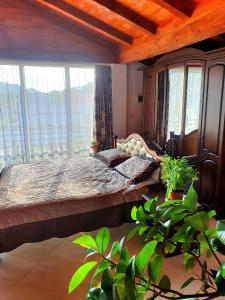 a bedroom with a bed in a room with windows at CASA IONUȚ in Borşa +15 photos