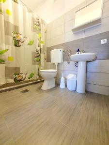 bagno con servizi igienici e lavandino di Eftimija Apartments a Gevgelija