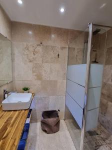 une salle de bain avec un lavabo et une douche dans l'établissement Bienvenue à la Zolie Kaz !, à Saint-Pierre 10 autres photos