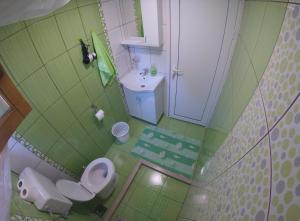 a green bathroom with a toilet and a sink at Bamboo River House in Ulcinj +28 photos
