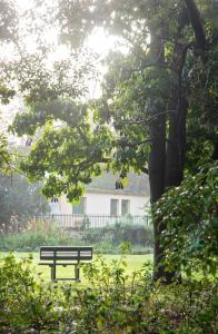 un banco del parque sentado bajo un árbol en un parque en Avemore Wag n Bietjie No 1 en Stellenbosch