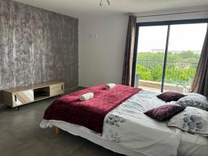 una camera con un grande letto e una grande finestra di Magnifique Villa avec piscine Beaujolais a Gleizé