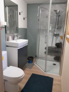 ein Bad mit einer Dusche, einem WC und einem Waschbecken in der Unterkunft Chalet Hansl in Vordernberg