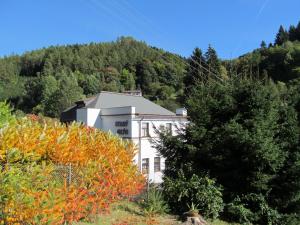 Gallery image of Starý mlýn - Wellness Hotel Penzion Apartmány v Českém ráji in Železný Brod