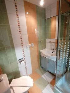 Koupelna v ubytování Apartmán Nelli