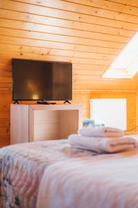a bedroom with a flat screen tv and a bed at Casa de vacanta ROUA DIMINETII in Beclean