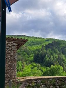 Naturlandskabet i nærheden af lejligheden + 4 billeder