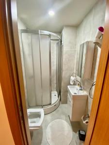 La salle de bains est pourvue d'une douche, de toilettes et d'un lavabo. dans l'établissement Akaretler Vera Suites, à Istanbul