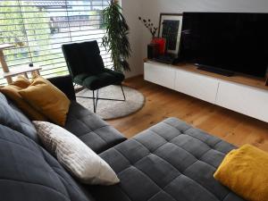 TV a/nebo společenská místnost v ubytování Hiša Eva