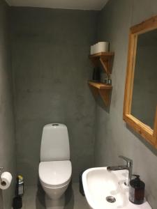 een badkamer met een toilet en een wastafel bij Marielyst B&B - Apartments in Næstved