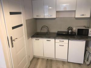 Kuchyňa alebo kuchynka v ubytovaní Apartament Wygodny S2