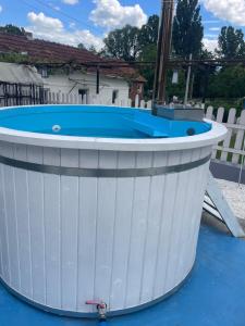 a barrel pool in a backyard with a fence at Casa De Sub Deal in Densuş