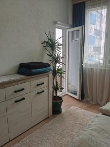 una camera da letto con un comò con una pianta sopra di Apartman Radanović a Foča