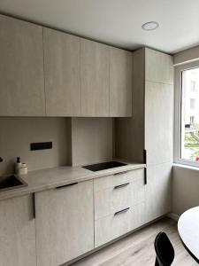 Η κουζίνα ή μικρή κουζίνα στο Vakariniai Apartamentai II +11 φωτογραφίες