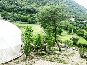 a white tent in a field with a tree at ZEN Relaxing Village 