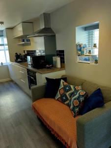Il comprend un salon avec un canapé et une cuisine. dans l'établissement Smart modern studio flat in central Bournemouth, à Bournemouth
