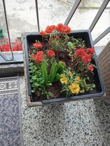 un vaso pieno di fiori seduto per terra di Apartman Radanović a Foča