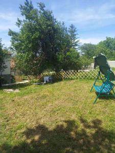 Zahrada ubytování Cvrkut ptica