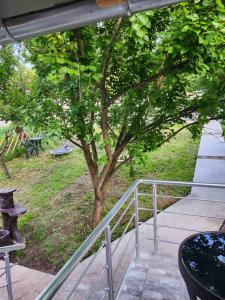 Afbeelding uit fotogalerij van Cvrkut ptica in Resnik