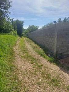 Afbeelding uit fotogalerij van Cvrkut ptica in Resnik +39 foto's