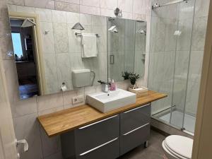 a bathroom with a sink and a shower and a toilet at Very Cozy Apartment at ARED Arad in Arad