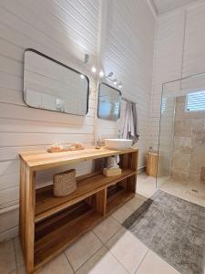 a bathroom with a sink and a mirror at VILLA KARAT in Le Diamant