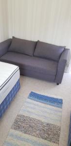 a purple couch in a living room with a rug at Donsö Lägenhet in Gothenburg