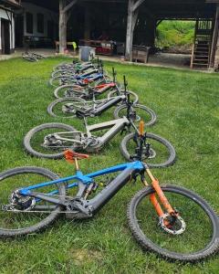 una fila de bicicletas estacionadas en el césped en Castle View, en Saschiz