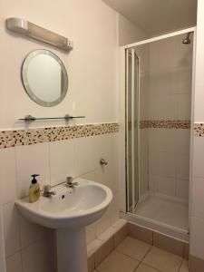 a bathroom with a sink and a shower and a mirror at Old Town Apartment in Waterford