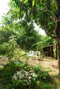 twee witte stoelen in een tuin onder een boom bij Suksamer Relaxation Homestay 