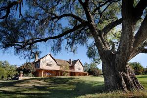 ein großes Haus mit einem Baum davor in der Unterkunft Mukima Manor in Nanyuki