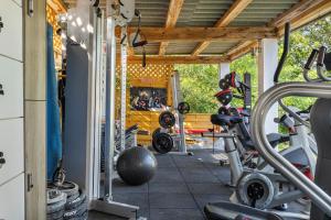 a gym with cardio equipment in a house at Villa Madiana - "Le Diamant" climatisée, piscine privée chaufffée, Fitness,proche Cannes, Grasse in Montauroux