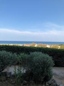 a garden with bushes and the ocean in the background at Studio cabine vue mer saint pierre la mer in Fleury