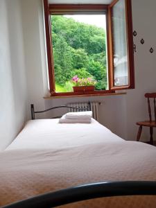 - une chambre avec un lit et une fenêtre fleurie dans l'établissement Alloggio Petrigh 2, à Canal di Grivo