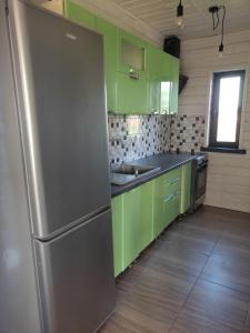 スヴィチャスにあるСімейний куточокのキッチン(緑のキャビネット、ステンレス製の冷蔵庫付)