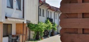 a narrow street with buildings and a tree on the sidewalk at Guboja in Nida