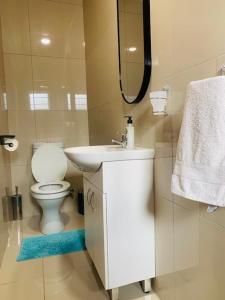 a bathroom with a toilet and a sink and a mirror at Ouklip Place Hotels in Roodepoort