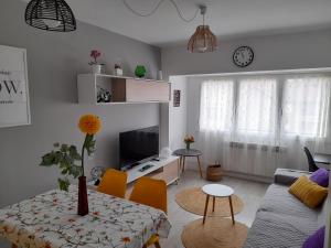 TV a/nebo společenská místnost v ubytování Apartamento HARO CONFORT Céntrico Ascensor Wifi Terraza