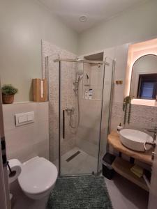 La salle de bains est pourvue d'une douche, de toilettes et d'un lavabo. dans l'établissement Clar studio 1, à Braşov