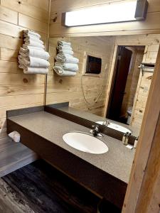 a bathroom with a sink and a mirror and towels at Bridgeview Motel in Mackinaw City