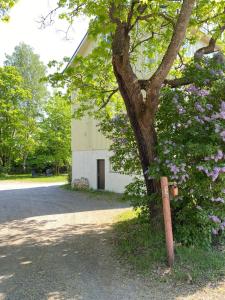 Ein Baum mit lila Blumen neben einem Gebäude in der Unterkunft ArtBeat Home in Turku