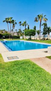 a swimming pool with palm trees in the background at Vista del Mar Residencial in Roquetas de Mar