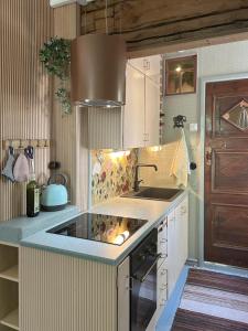 eine Küche mit Spüle und Herd Oberer Backofen in der Unterkunft ArtBeat Home in Turku + 10 Fotos