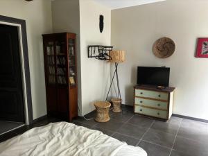 TV a/nebo společenská místnost v ubytování Cottage au bord de l eau