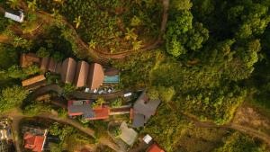 una vista sul tetto di una casa in una foresta di O2 Villas Resort & Spa, Ella a Ella