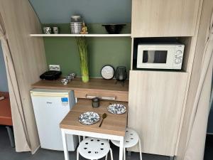 Kuchyň nebo kuchyňský kout v ubytování Camping Du Lion