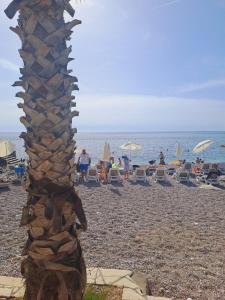 Gallery image of Sea House Apartments in Dobra Voda