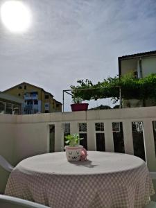 a potted plant sitting on a table on a balcony at Apartmani SAMB Igalo in Herceg-Novi