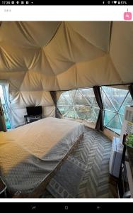 DecimomannuにあるPodere Kiri Dome Experienceの窓付きのテント内の大型ベッド1台