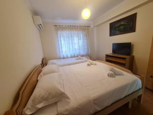 ein Schlafzimmer mit einem Bett und einem Fernseher darin in der Unterkunft Egi's Apartment in Shkodra